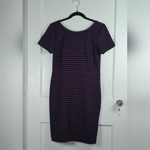 Banana Republic Factory Striped Knit Dress 6P